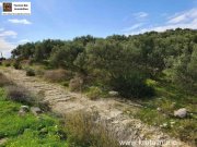 Pitsidia Süd Kreta, Pitsida Baugrundstück mit Meerblick ca.5500m² Grundstück kaufen